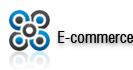 Future Vision Technologies E-commerce