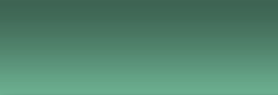 Future Vision Technologies Web Development logo